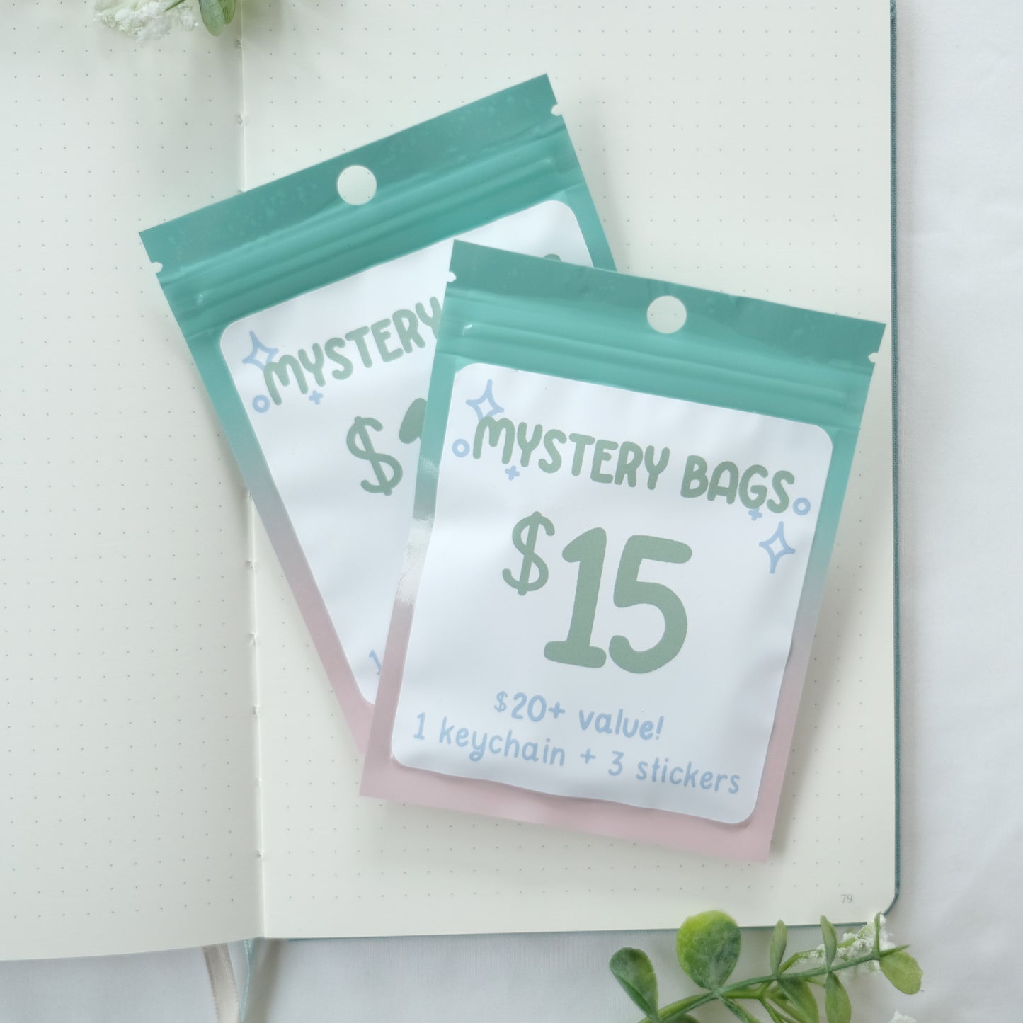 $15 mystery bag